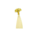 60 cm Hot Fusion Haarverlängerungen 60# Platinblond – | Fashiongirl