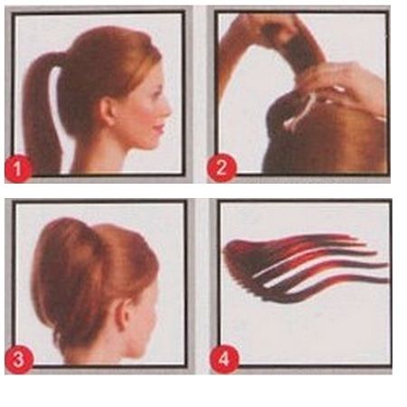 Dish Hair Comb - Multiple colours - | Fashiongirl