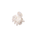 The SOHO Hara Mini Hair Claw - Porcelain by SOHO is a small, transparent plastic hair accessory resembling a mini claw, isolated on a white background.