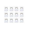 Ten SOHO Lucca Mini Hair Claws - Transparent by SOHO are arranged in four rows on a plain white background, resembling orthodontic braces with white brackets and metallic wires or neatly laid-out transparent hair clips.
