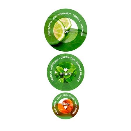 UNIQ One All in One Green Tea Hair Treatment 150 ml – | Fashiongirl